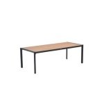 Felini tafel- 220x93 cm - carbon black - light teaklook