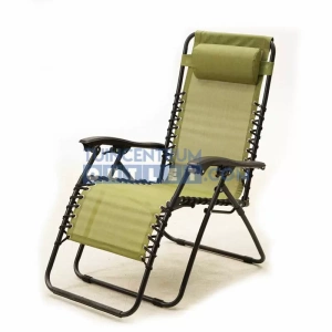 Relaxstoel Vita Alves Tuinstoel met kussen groen